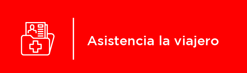 Asistencia al viajero