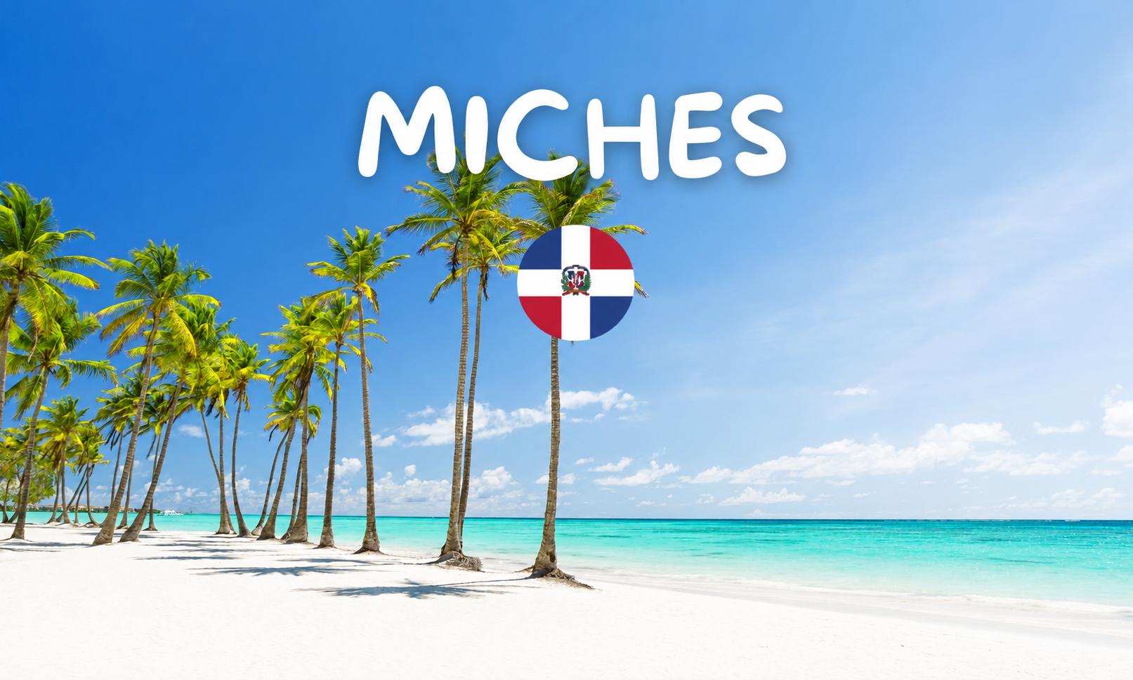 MICHES